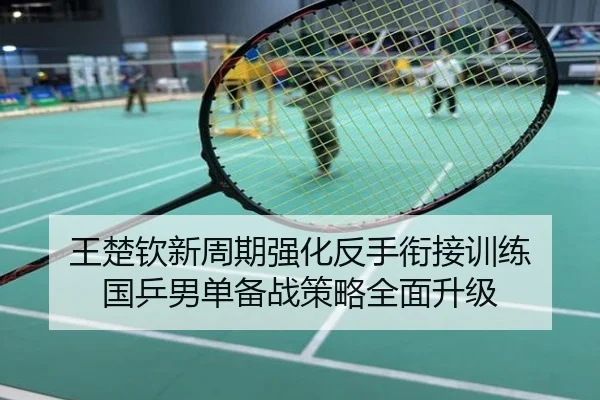 王楚钦新周期强化反手衔接训练 国乒男单备战策略全面升级