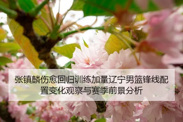张镇麟伤愈回归训练加量辽宁男篮锋线配置变化观察与赛季前景分析