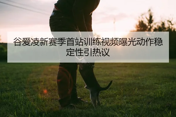 谷爱凌新赛季首站训练视频曝光动作稳定性引热议